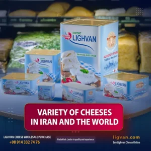 Types of Cheese Around the World