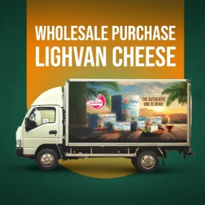 Wholesale Lighvan Cheese