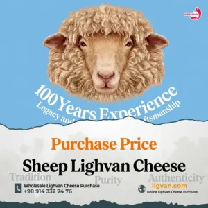 Sheep Milk Lighvan Cheese