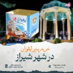 خرید پنیر لیقوان اصل تبریز در شیراز | خرید مستقیم و تجربه طعم اصیل