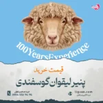 پنیر لیقوان گوسفندی تبریز (سوپر گوسفندی) | خرید اینترنتی قیمت استثنایی