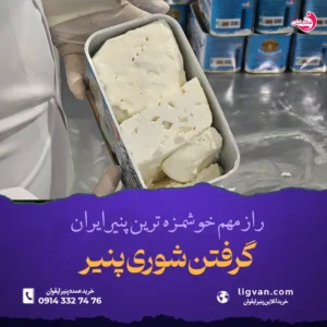 پرسش های متداول در مورد گرفتن شوری پنیر