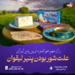 علت شور بودن پنیر لیقوان + راحل حل : 4 راز مهم