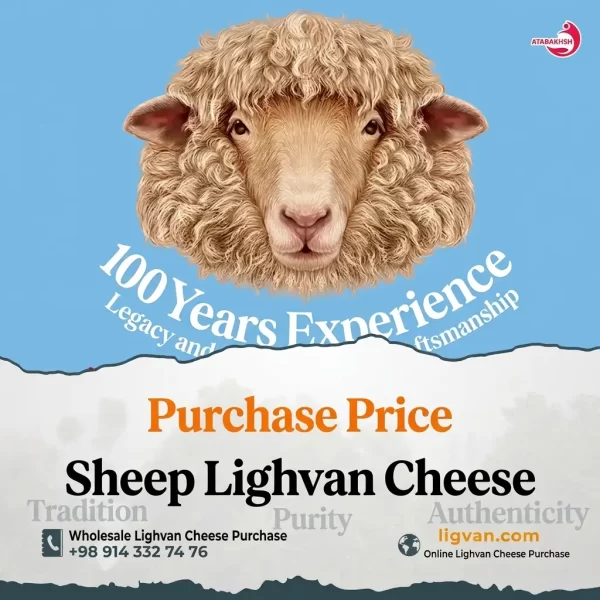 Sheep Milk Lighvan Cheese