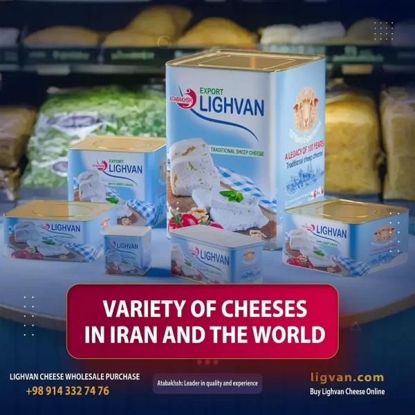 Types of Cheese Around the World